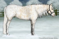 Horse Color:Silver Buckskin Frame Appaloosa  and Silver Buckskin Frame Appaloosa 