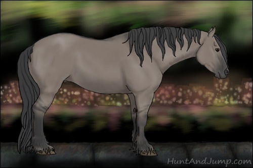 Horse Color:Grullo Rabicano 