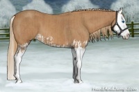 Horse Color:Red Roan Splash  and Red Roan Splash 