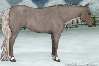 Horse Color:Silver Blue Roan 