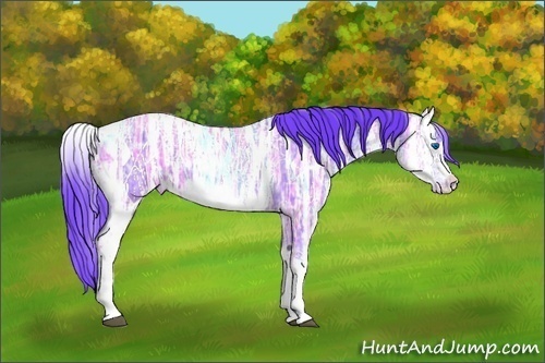 Horse Color:Watercolor White Spotted Blue Ice Roan Splash Frame Appaloosa 