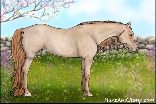 Horse Color:Gold Champagne Roan  and Gold Champagne Roan 