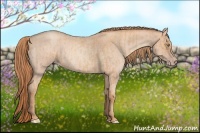 Horse Color:Gold Champagne Roan  and Gold Champagne Roan 