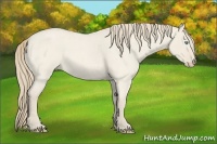 Horse Color:Smoky Creme Roan Dun 
