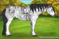 Horse Color:White Spotted Black and White Spotted Black Frame