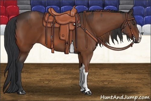 Horse Color:Chestnut  and Bay 