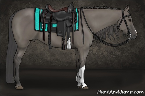 Horse Color:Smoky Grullo 