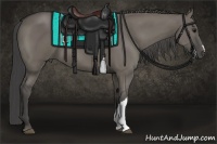 Horse Color:Smoky Grullo 