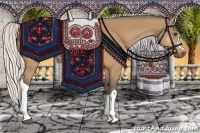 Horse Color:Silver Buckskin 