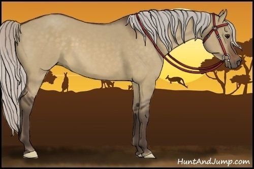 Horse Color:Silver Bay Dun 