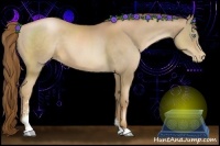 Horse Color:Liver Chestnut Pearl Sabino 