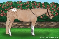 Horse Color:Chestnut Tobiano Varnish