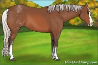 Horse Color:White Spotted Silver Bay Splash 