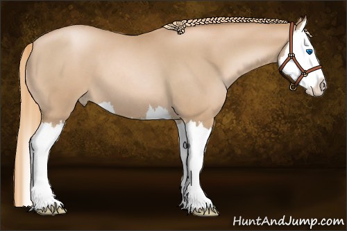 Horse Color:Red Roan Pearl Splash 