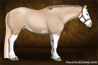 Horse Color:Red Roan Pearl Splash 