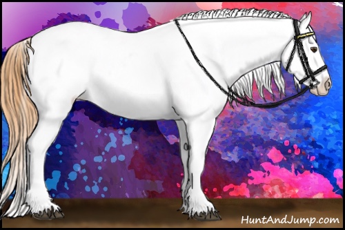 Horse Color:Buckskin Dun Frame Varnish 