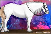 Horse Color:Buckskin Dun Frame Varnish
