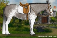 Horse Color:White Spotted Grullo Splash 