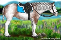 Horse Color:White Spotted Silver Bay Splash 