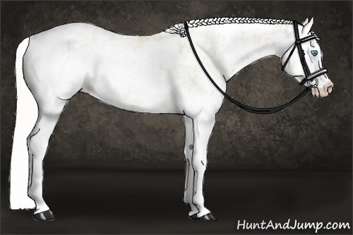 Horse Color:Cremello Sabino  and Cremello Sabino 