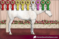 Horse Color:White Spotted Chocolate Smoky Creme Sabino Appaloosa  and White Spotted Chocolate Smoky Creme Sabino 