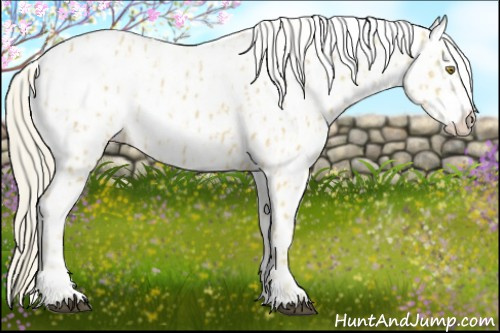 Horse Color:Palomino Near Leopard and Gray Palomino Near Leopard