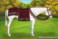 Horse Color:Cremello Sabino  and Cremello Sabino 