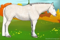 Horse Color:Cremello Sabino  and Cremello Sabino 