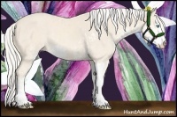 Horse Color:Cremello Sabino  and Cremello Sabino 