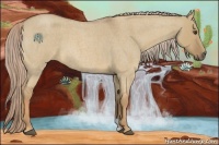 Horse Color:Palomino Roan Dun