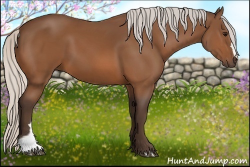 Horse Color:Silver Bay 
