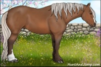 Horse Color:Silver Bay