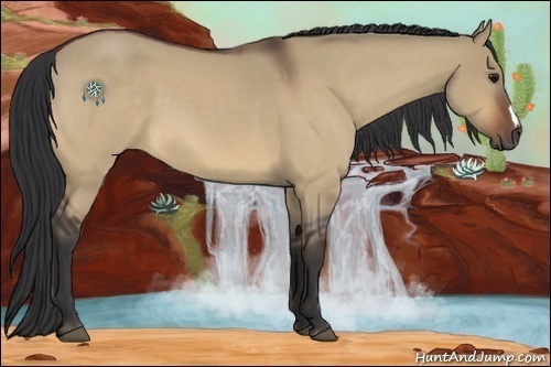 Horse Color:Bay Roan Dun 