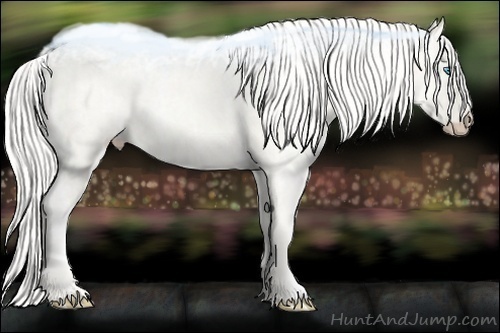Horse Color:Silver Perlino Ice