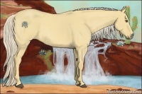 Horse Color:Palomino Roan Dun