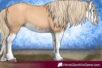 Horse Color:Gold Champagne Splash 