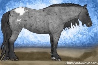 Horse Color:Blue Roan Varnish 