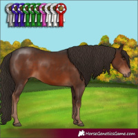 Horse Color:Liver Chestnut 