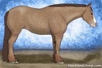 Horse Color:Classic Champagne Splash 