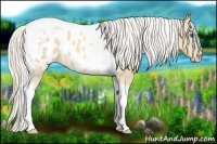 Horse Color:Silver Classic Cream Champagne Roan Splash Tobiano Frame Appaloosa Rabicano