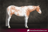 Horse Color:Bay Mushroom Tobiano  and Bay Mushroom Tobiano Frame 