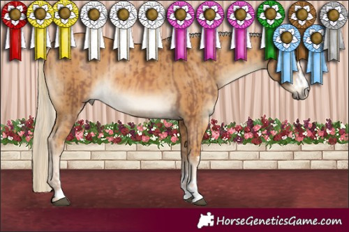 Horse Color:Chestnut Mushroom Rabicano and Palomino Mushroom Rabicano