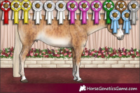 Horse Color:Chestnut Mushroom Rabicano and Palomino Mushroom Rabicano