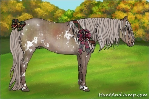 Horse Color:White Spotted Chocolate Silver Grullo  and White Spotted Chocolate Silver Grullo 