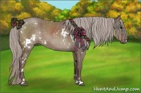 Horse Color:White Spotted Chocolate Silver Grullo  and White Spotted Chocolate Silver Grullo 