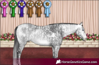 Horse Color:White Spotted Liver Chestnut Chinchilla Mushroom  and White Spotted Buckskin Chinchilla Mushroom 