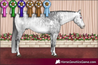 Horse Color:White Spotted Liver Chestnut Chinchilla Mushroom  and White Spotted Buckskin Chinchilla Mushroom 