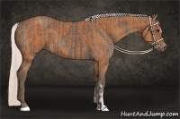 Horse Color:Silver Black and Silver Bay