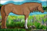 Horse Color:Chestnut and Chestnut