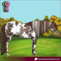 Horse Color:White Spotted Classic Champagne Ice